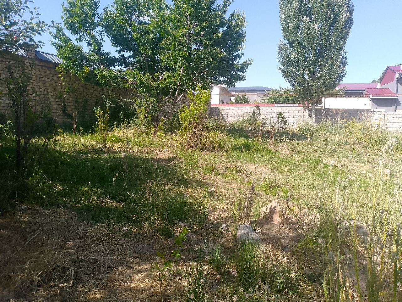 3 sotixli yer naydoni