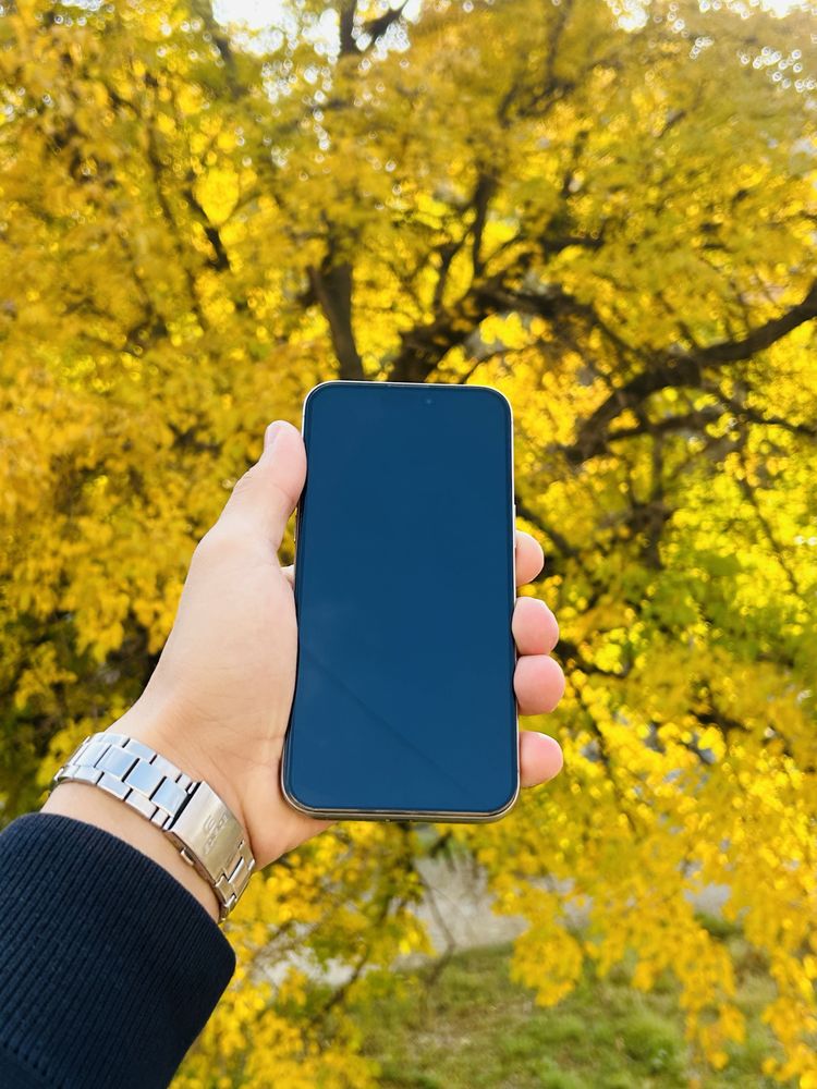 IPhone 15 Pro Max 256