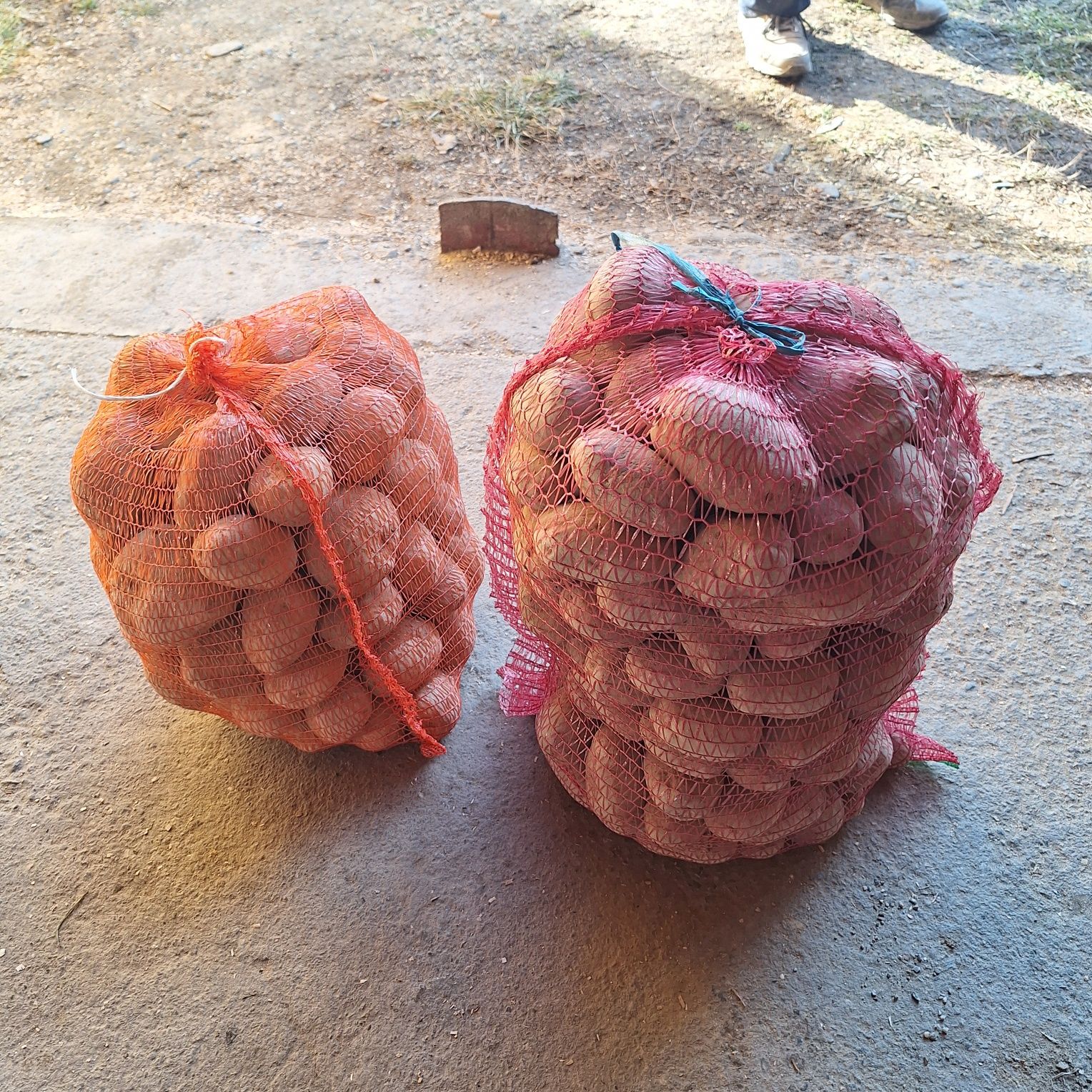 Cartofi de Făgăraș