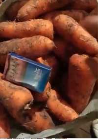 Морковь кардоба