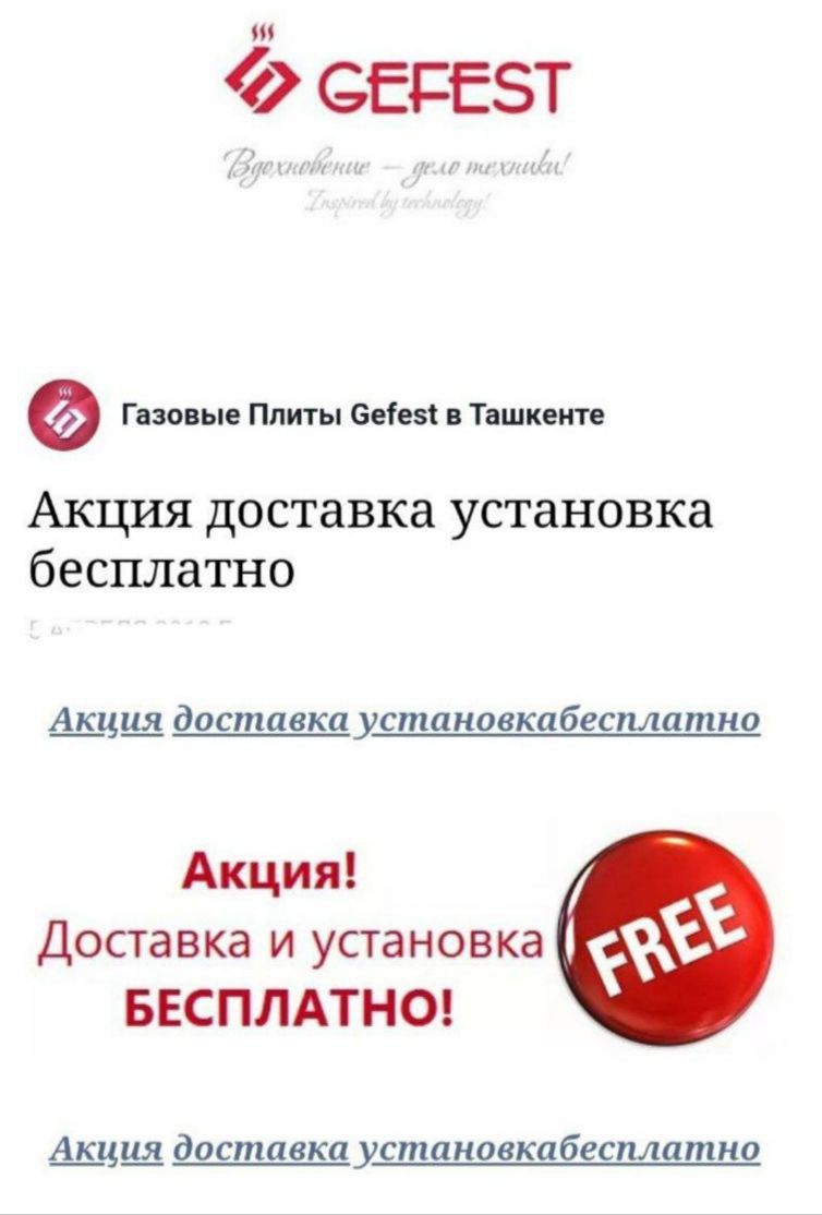 GEFEST газовая плита (модернизированного типа)  Доставка