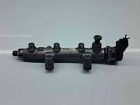 Rampa injectoare AUDI Q5 (8RB) [ Fabr 2008-2016] 059130090BS 3.0 TDI C