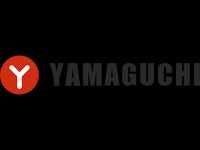 Мезороллер Yamaguchi Vitality
Никакой магии — только технологии! Japan