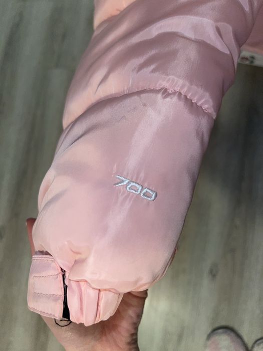 Geaca The North Face