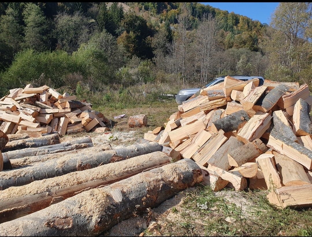 Lemn foc. Metri steri de vanzare