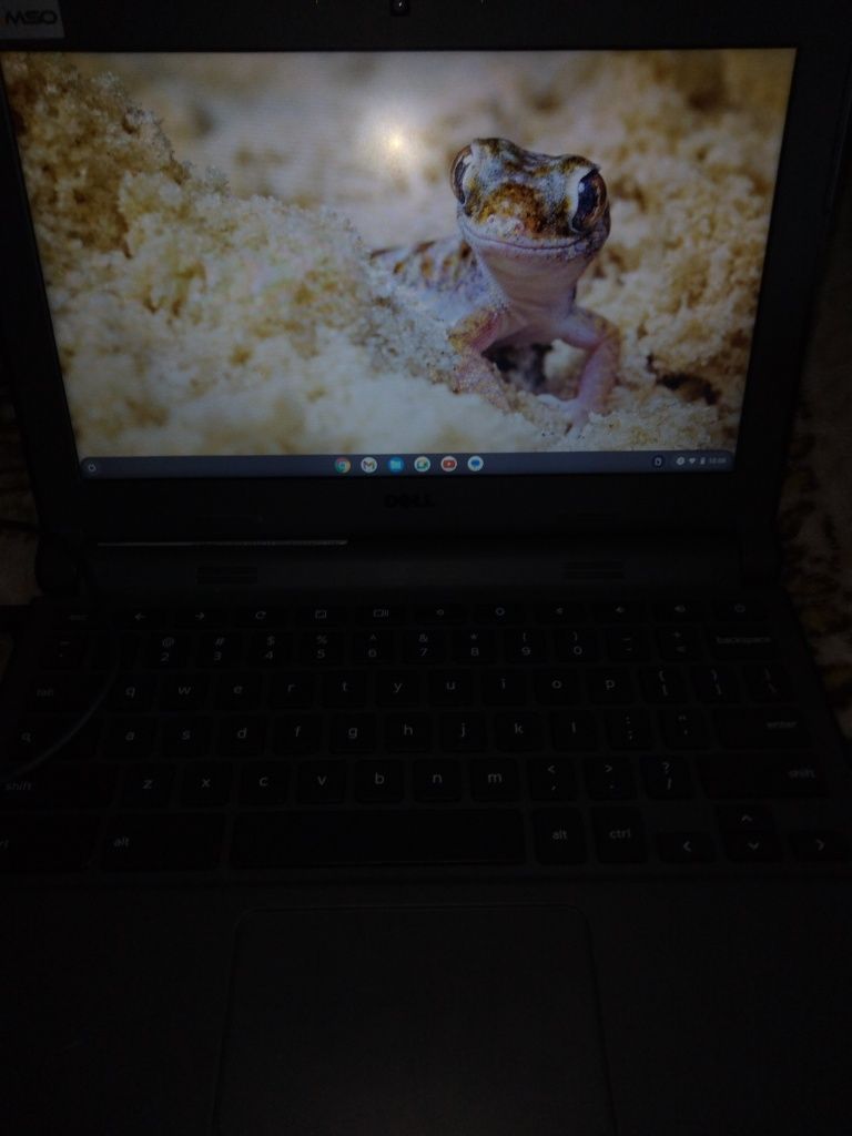 Vând Leptop Dell chromebook 13 la 600 de lei în Sibiu