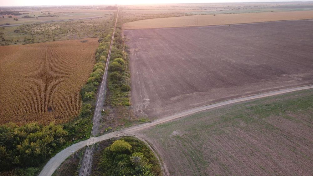 Teren de vinzare Gradistea jud Ilfov