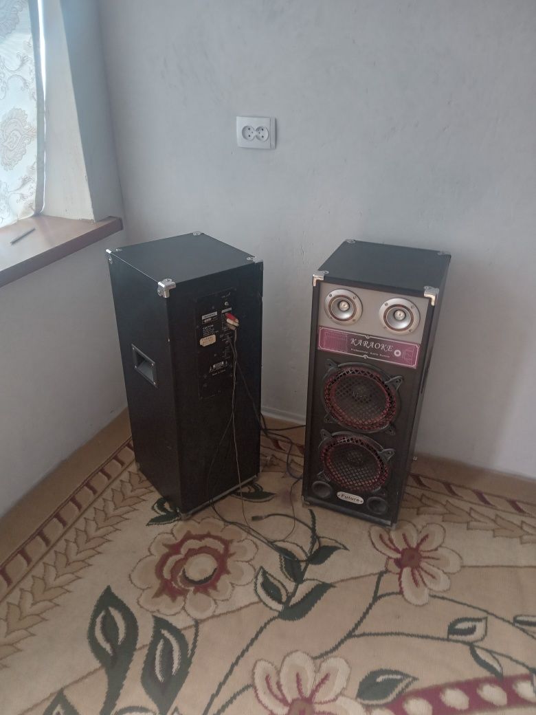 Калонка караоке усилителни