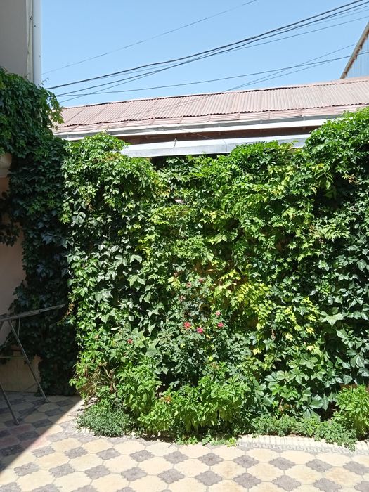 Гостевой дом Al Xalil