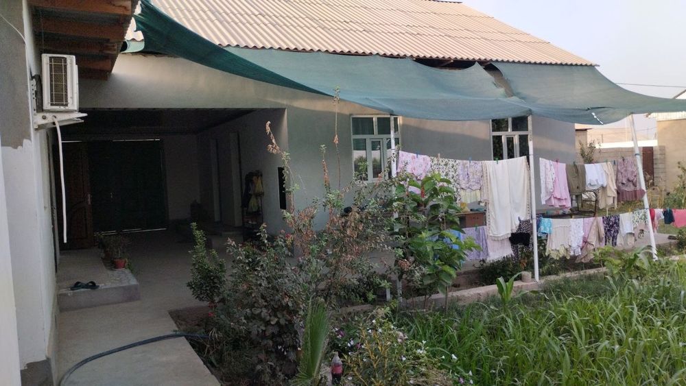 Ховли уй! 6 сотик, 6 хонали!