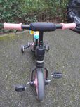 Bicicleta Chipolino Max Bike 10 Inch 2020, Pink