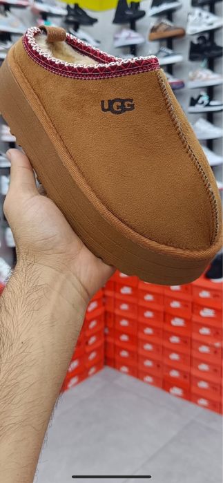 Vand Ugg Tazz noi