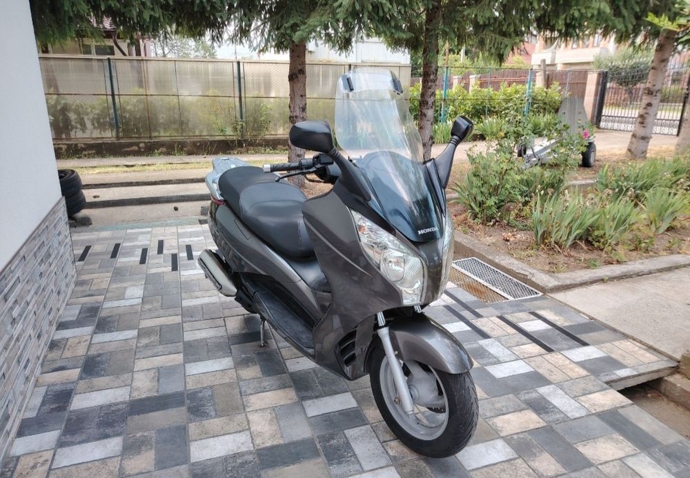 Vand Maxi Scuter 125CM