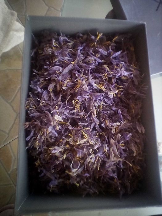 Sofran productie proprie