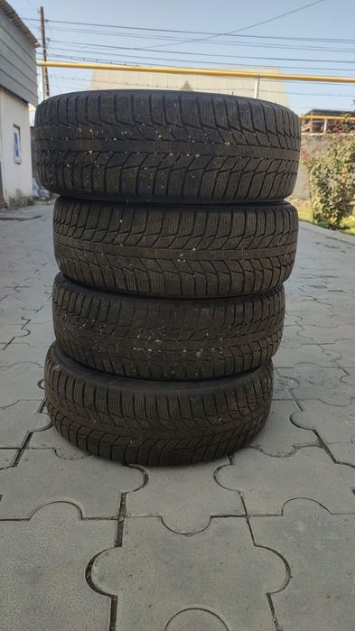 Зимние шины triangle