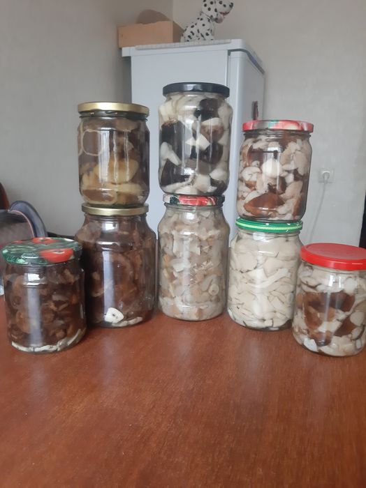 Продам грибы: разных видов