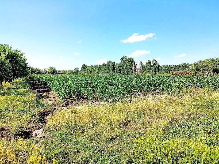 Uy sotiladi Дом продаëтся