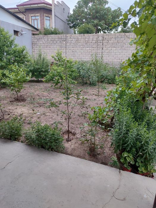 Ховли срочно сотилади