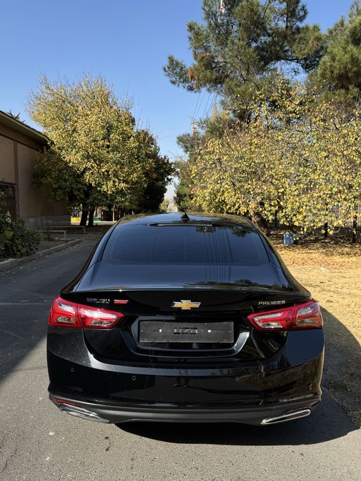 Malibu primer 2021 srochna