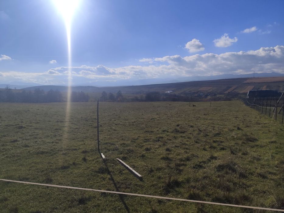 Vând teren Salicea com Ciurila