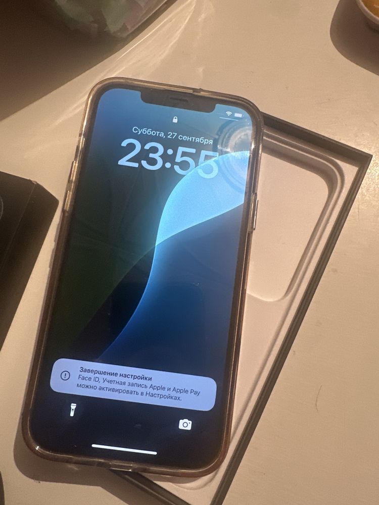 iPhone 12 Pro Max