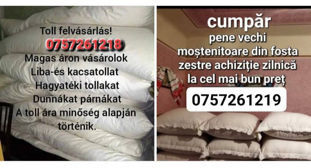 Achiziție Dune perine