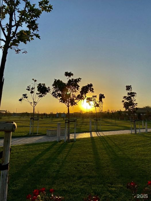 Жер Қызылорда тас жолдың бойында