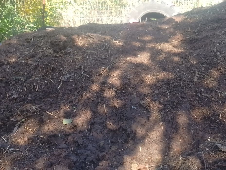 De vânzare gunoi de cal și de vacă
