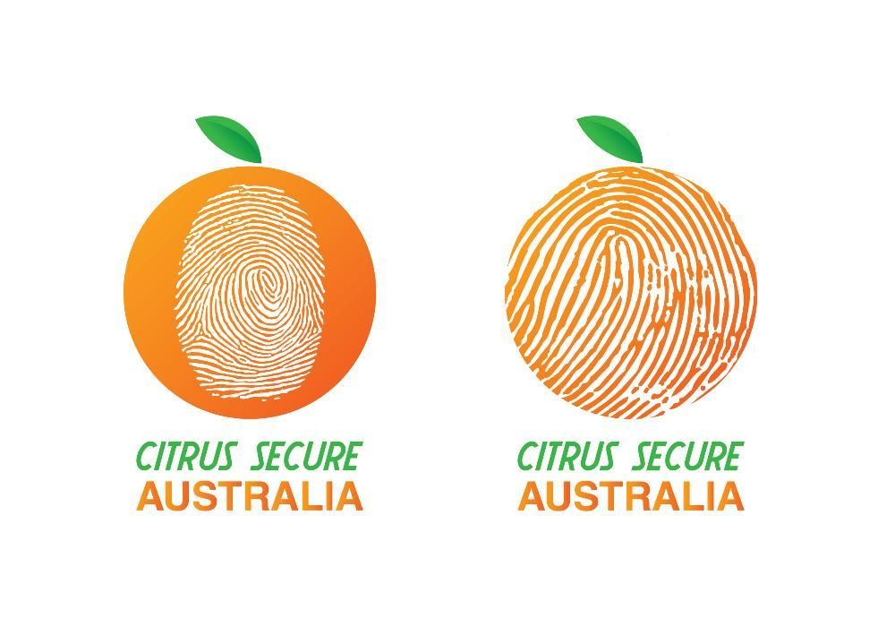 design grafic - identitate vizuală & grafică publicitară, prepress/DTP