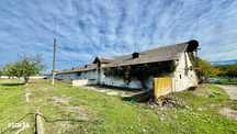 Hala industriala 18500mp Scornicesti-Olt