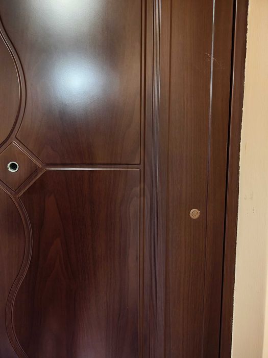 Входна врата китайска в перфектно състояние  с размери 199/85 .