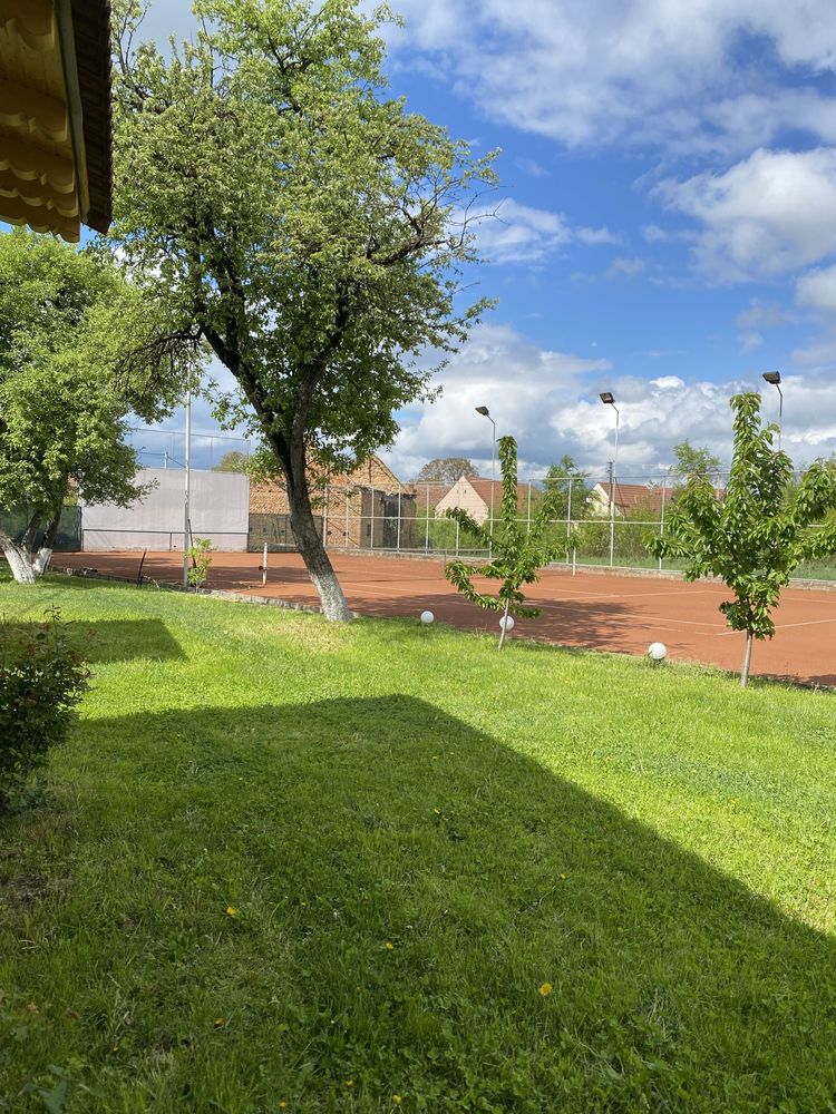 Cazare Casa de piatra piscina jacuzzi