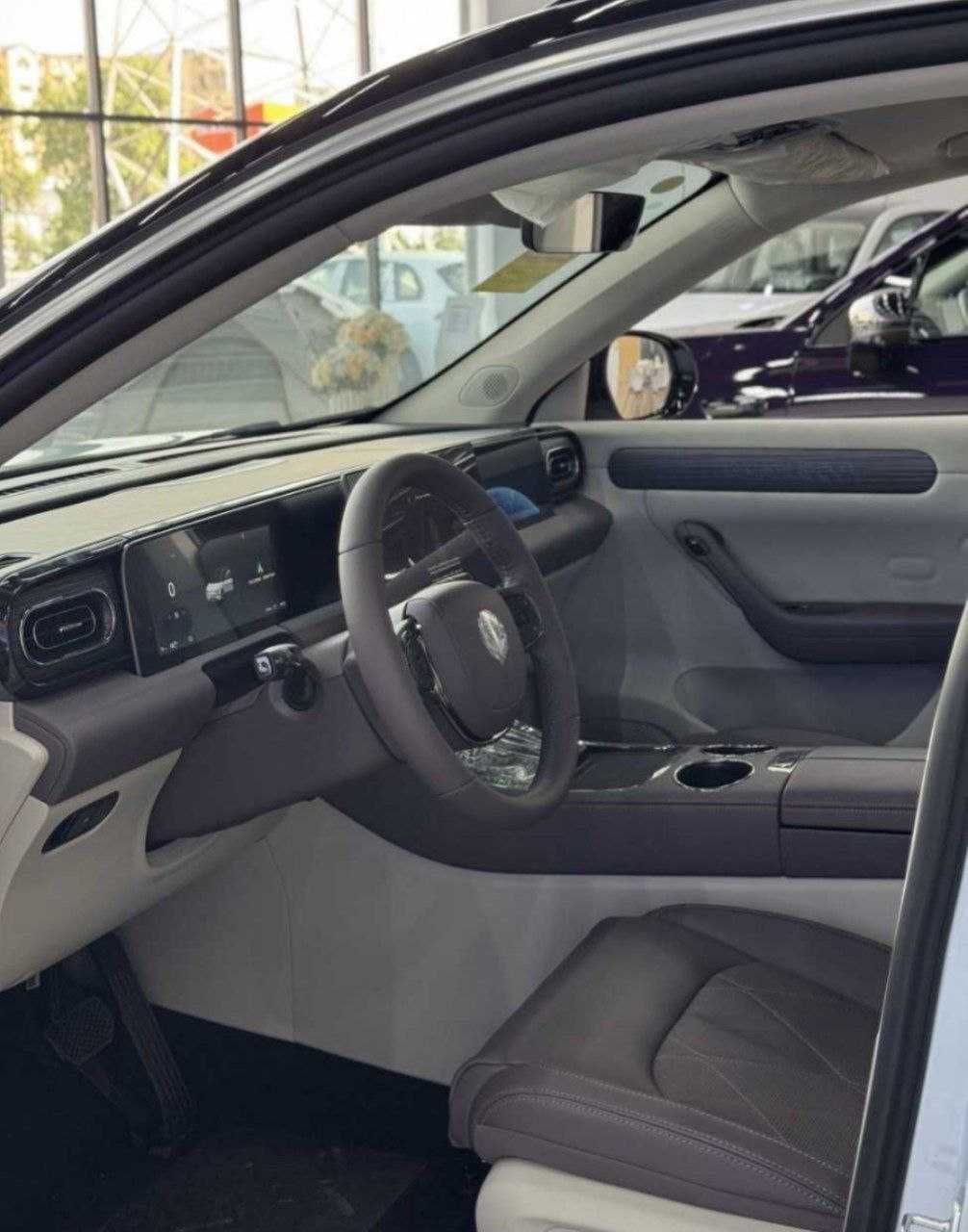 Leapmotr C11 2Dop opsiya EV