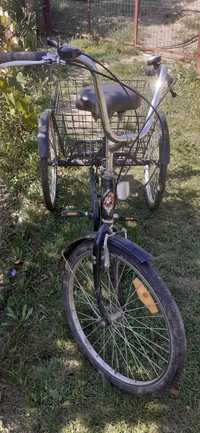 Tricicletă pegas senior