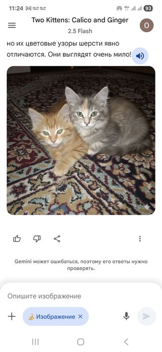 Отдам очаровательная котят