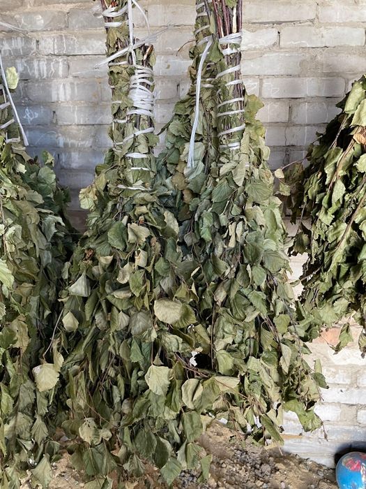 Продам веники из березы