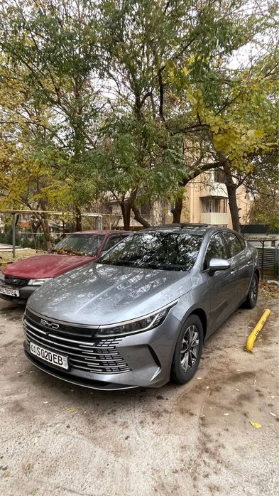 BYD Chazor DM-i  2024