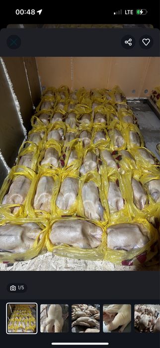 В продаже мясо гуся идеальная обработка.