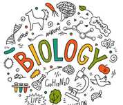 Meditatii biologie bac(9-10, 11-12)