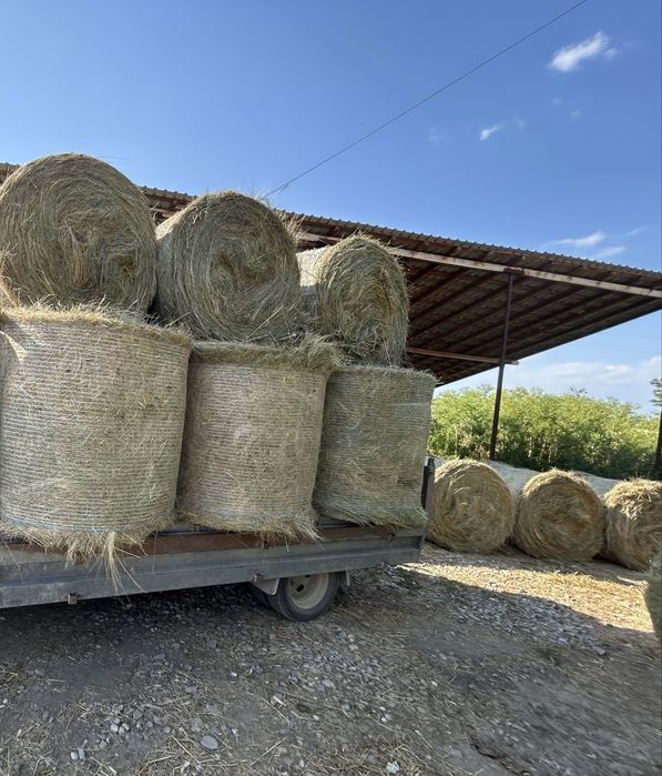 Vand baloti rotunzi de fan