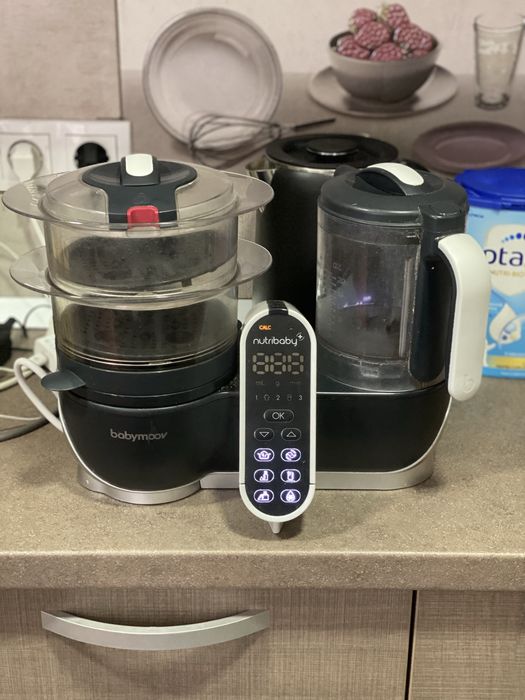 Robot multifunctional 5 in 1 BABYMOOV Nutribaby+ A001124, 1500ml, 750W