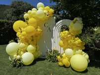 Pachet decor botez