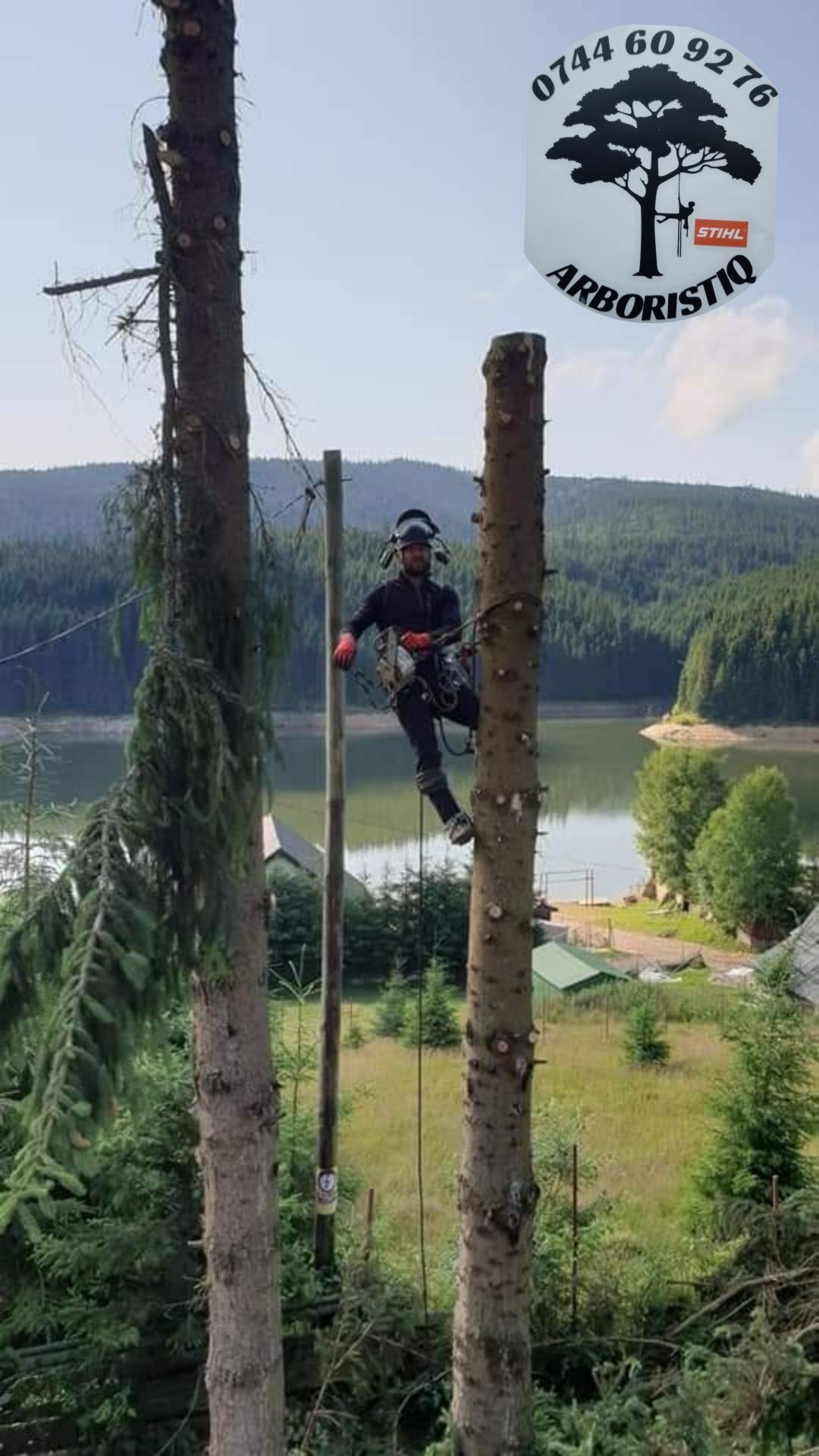 Toaletat doborât arbori/copaci alpiniști /alpinism utilitari