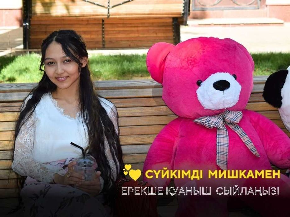 Плюшевые Мишки Мягкие Игрушки Подарки Цветы Букеты Айфон Самсунг