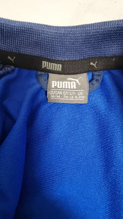 Trening Puma bebeluși