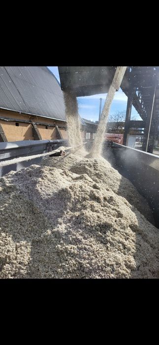 Borhot din sfeclă de zahar