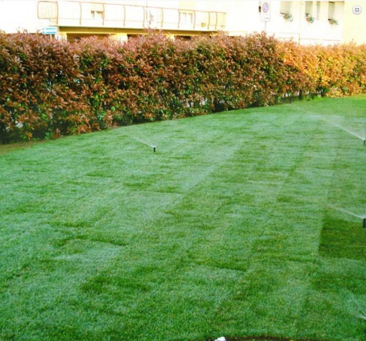 Gazon natural de calitate – Perfect pentru grădini și terenuri”