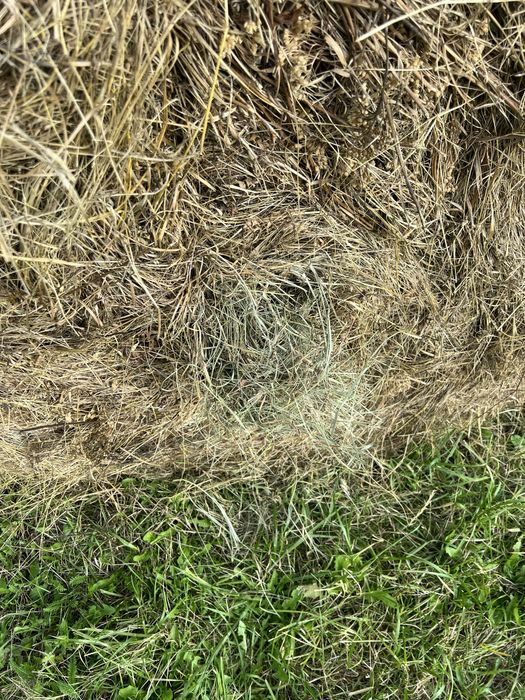 Baloti rotunzi otava 2025