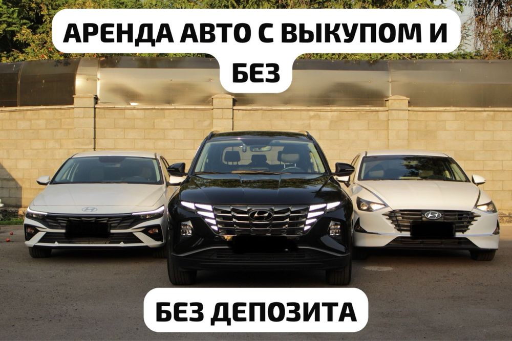 Аренда автомобилей с выкупом и без выкупа