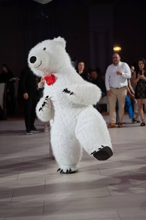 Urs gigant events